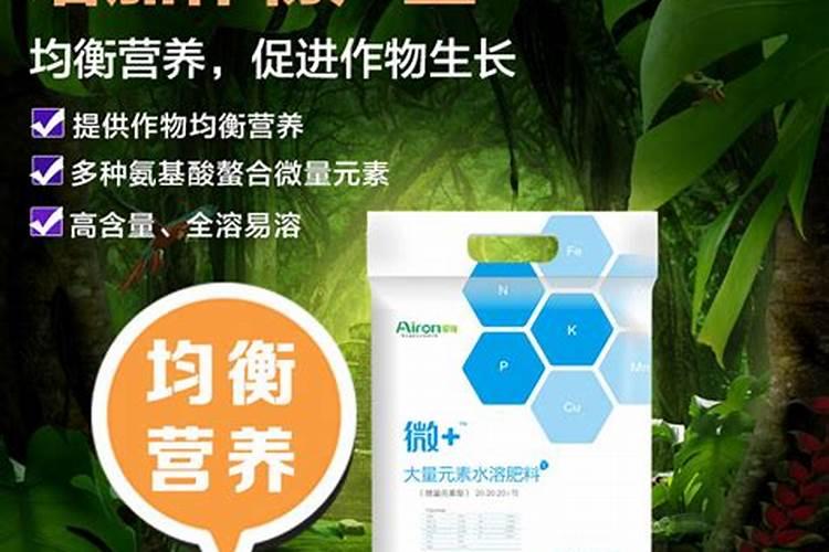 沙棘果种植技术有哪些