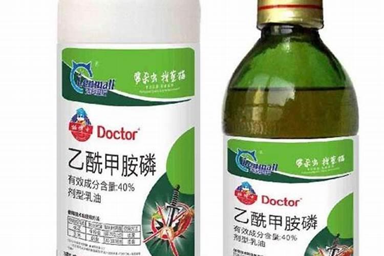 银心吊兰叶尖发黄枯萎了怎么办？