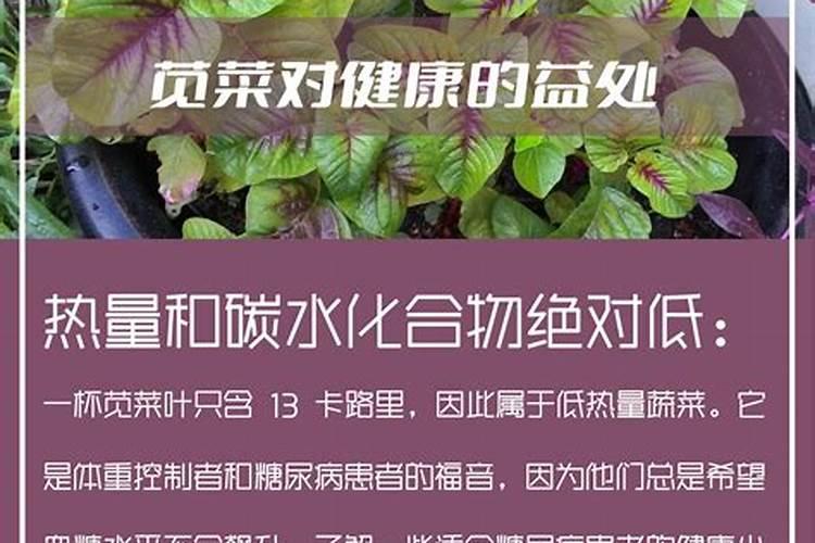 橙子盆栽种植方法 家庭盆栽桔子橙子怎么种