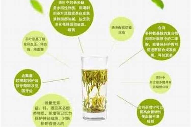 茶叶中含有哪些矿质营养元素？
