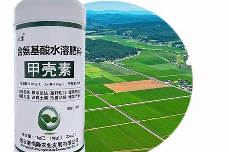 什么是甲壳胺