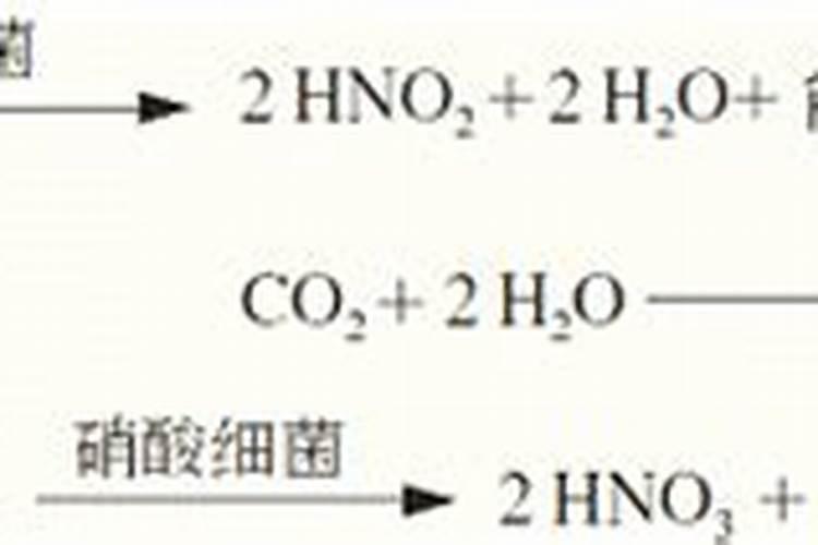 氮肥都有哪些？