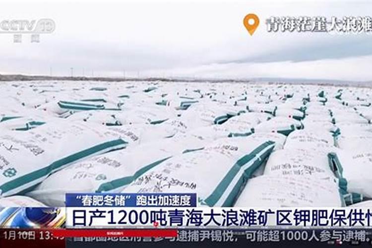 中国钾肥前十名上市公司