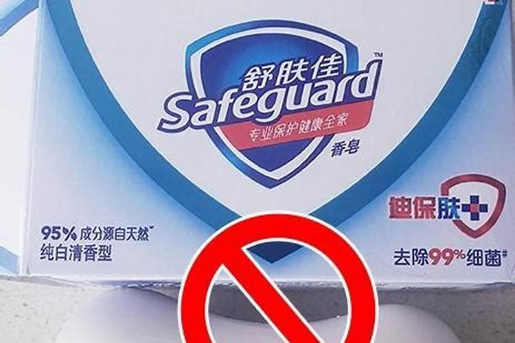 德国圃朗特是进口肥吗