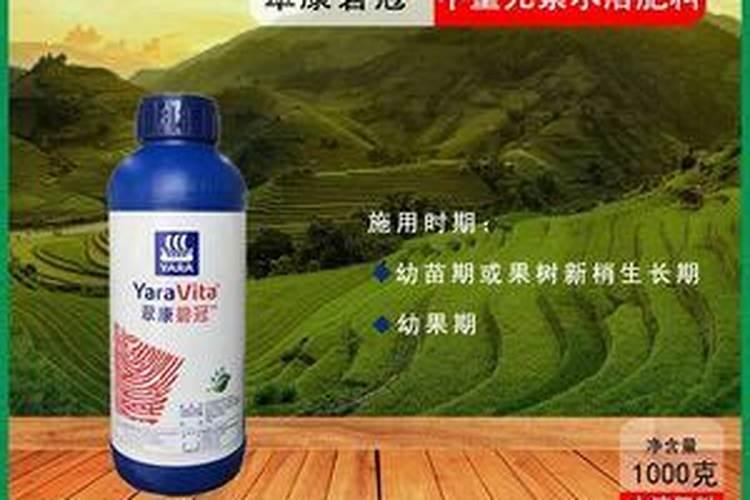 氮肥是什么东西？