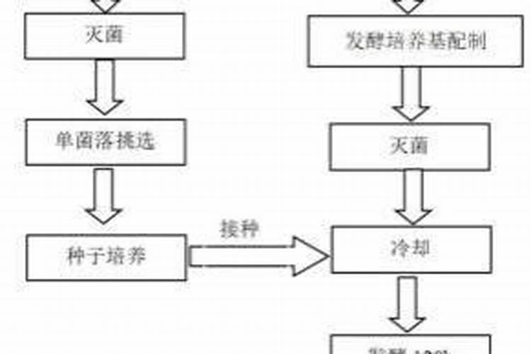 油渣发酵能浇多肉吗？