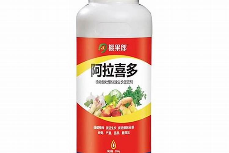 施什么肥可以促进植物生长、给植物施肥的注意事项