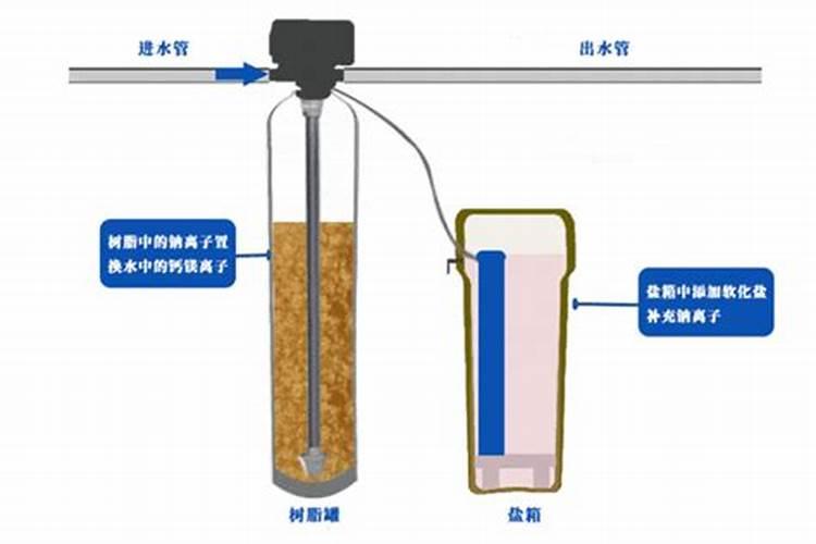 荔枝专用叶面肥什么好