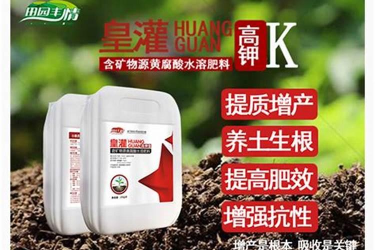 火龙果种植要施什么肥料