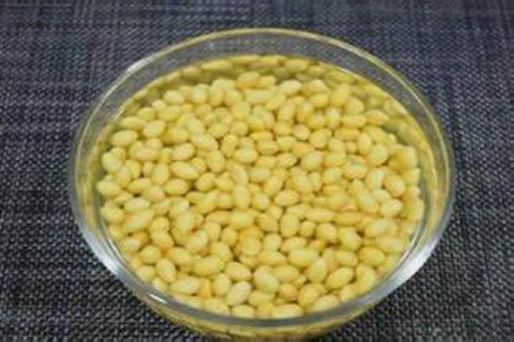 花卉施肥的最佳时间 花卉施肥的方法和技巧