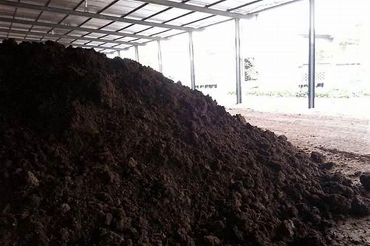 农田里有猪粪还用上化肥麻