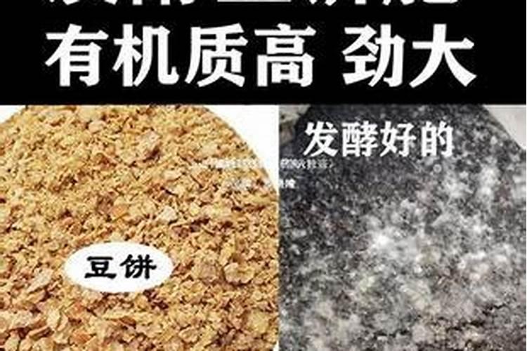 豆饼肥和菜籽饼肥有什么区别？