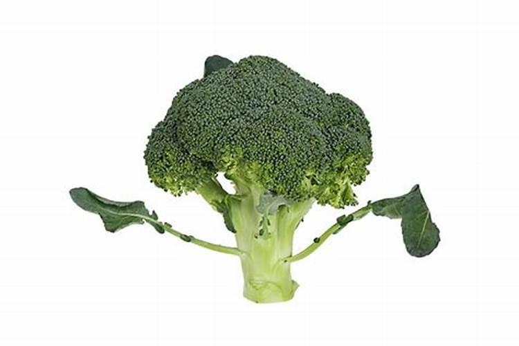 一吨腻子粉多少包