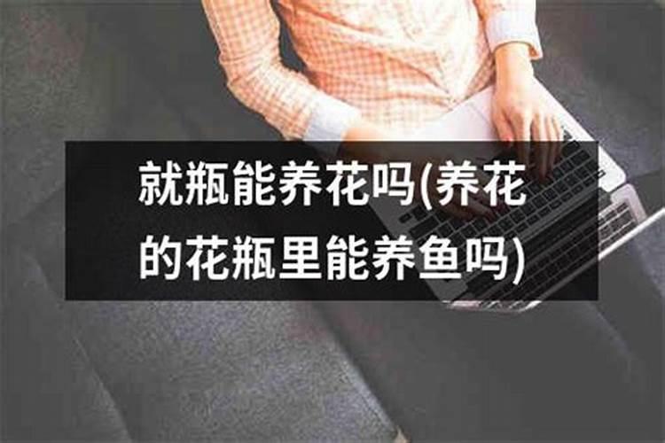 鱼蛋白肥料的使用技巧