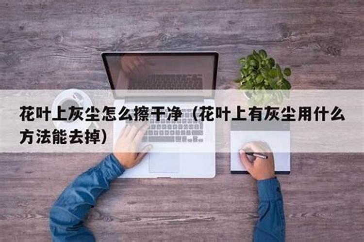 10种长相奇葩的花