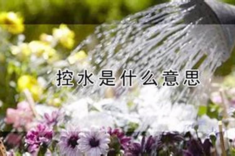 控释肥可以种菜吗