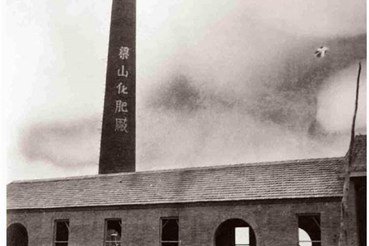 什么作物特别需要磷肥