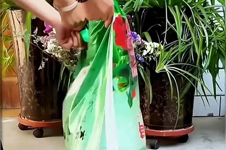 月季适合什么土壤