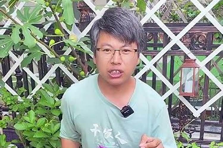 太阳花夏季高温能施肥吗