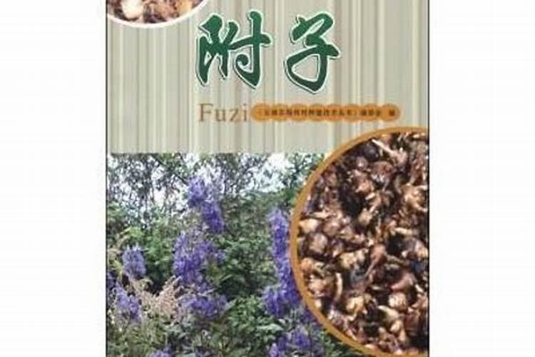 什么样的冲施肥效果较好？该如何施用