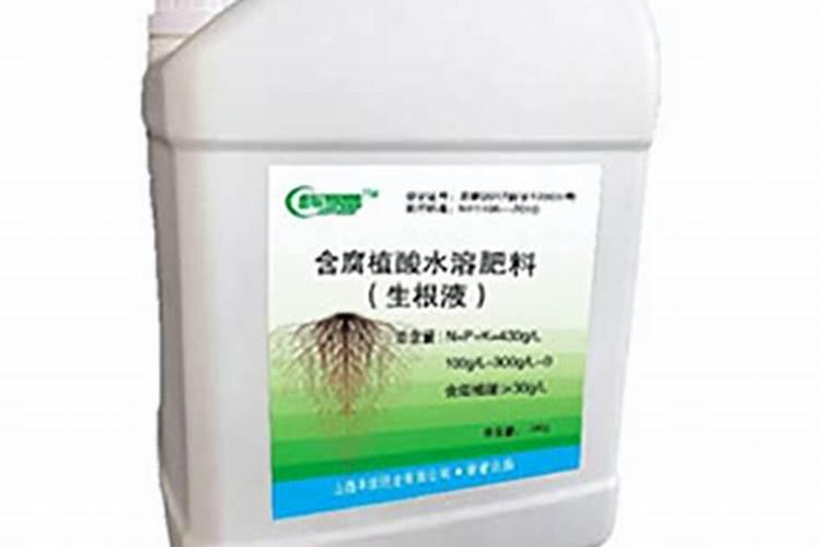 促进植物根发肓最好需要什么肥