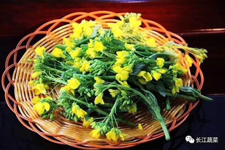 油菜施用硼肥的方法有哪些