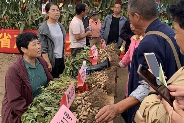 怎么辨别芸乐收真假 怎么辨别芸乐收真假百度问一问