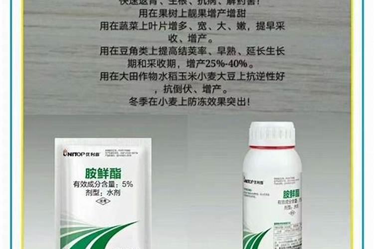 如何使用植物生长调节剂芸苔素内酯？ 为广谱性病毒防治剂吗胍·乙酸...
