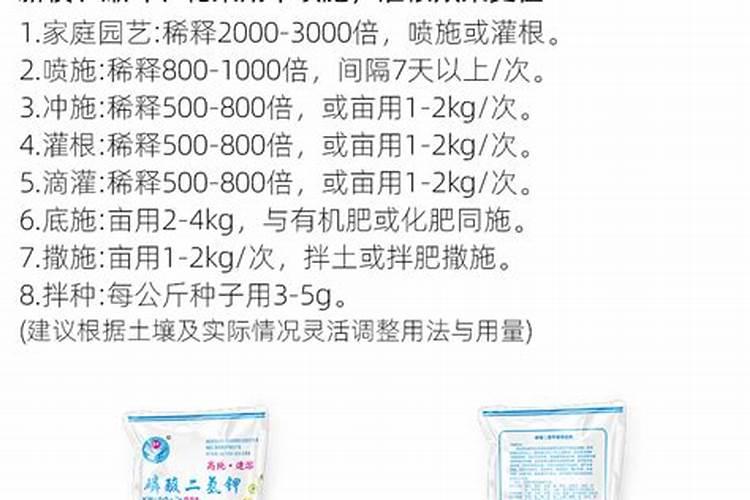 夏季西芹叶斑病防治方法