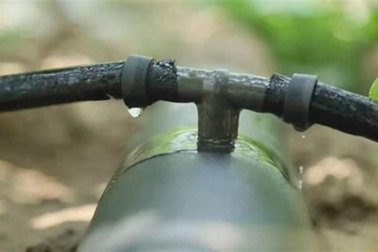 水溶肥是什么肥料 水溶性肥料的优缺点有哪些