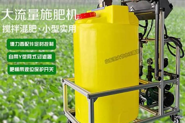 盆栽木槿什么时候开花