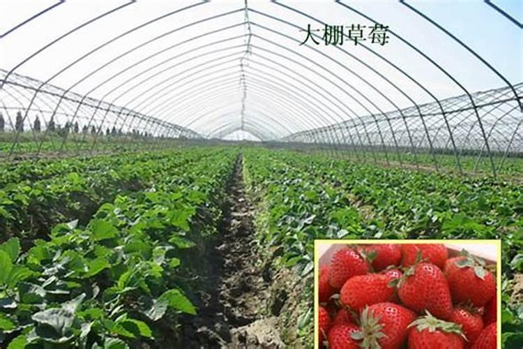 四川大棚增温推荐厂家