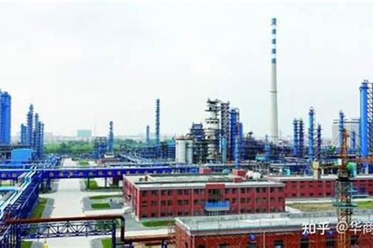 “荸荠”是什么东西!有图片吗？