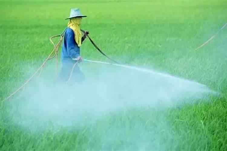 叶面肥和杀菌剂能混用吗 叶面肥和杀菌剂使用注意事项