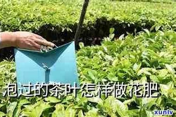 茶叶可以做花肥料吗
