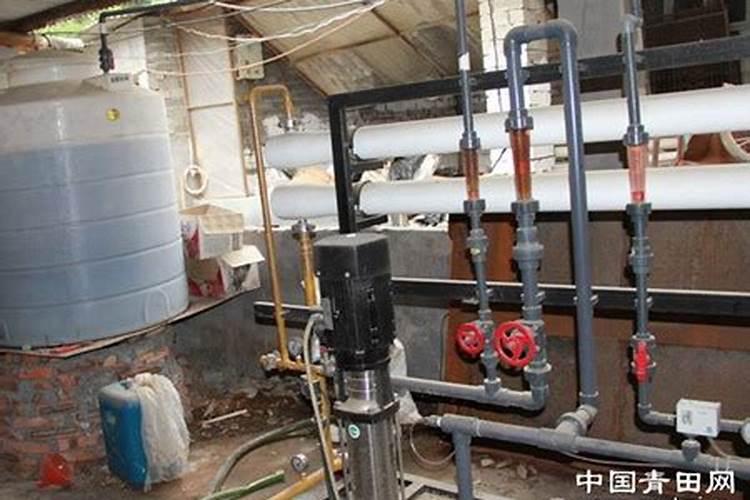 在果树上如何施用钙肥