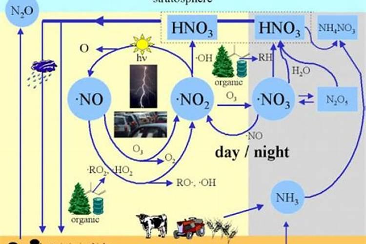 总氮的去除方法及原理