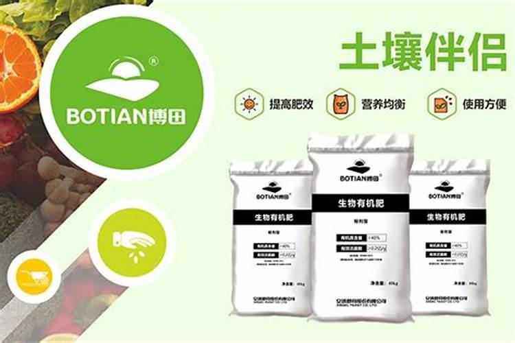 青枣怎么种植