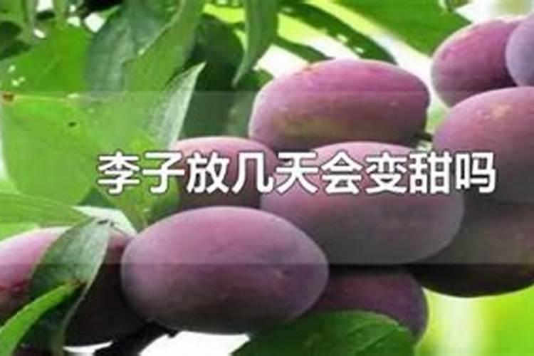 打叶面肥能是苹果表光好吗