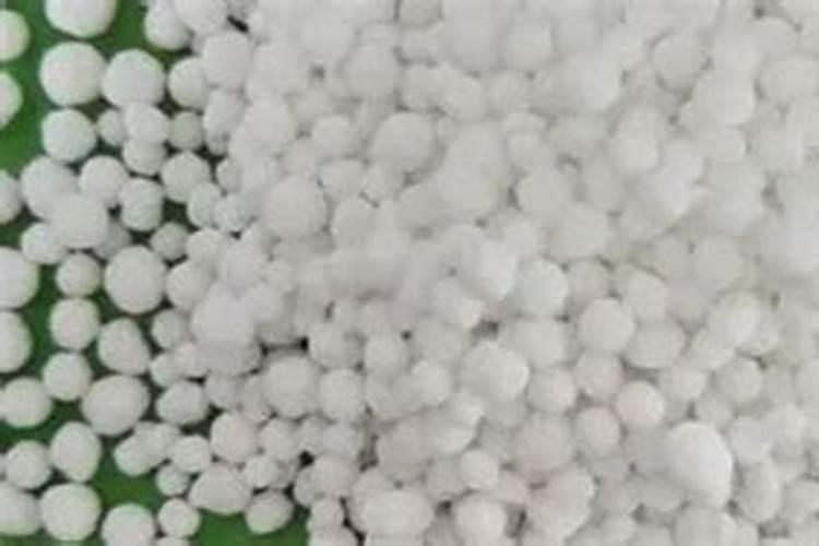 氮肥的作用有哪些？使用时需要注意什么？