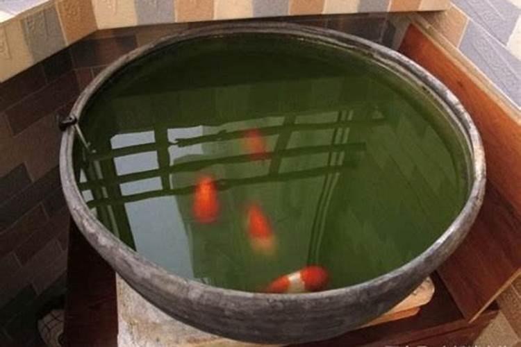 水溶肥对鱼有害吗？