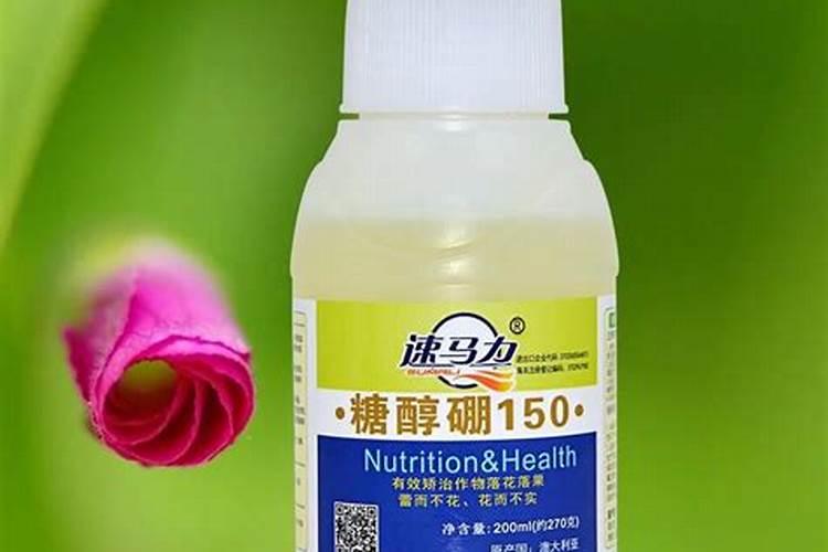 茄子膨果用什么肥料好？茄子促花保果膨大剂？膨大素什么时候用好？