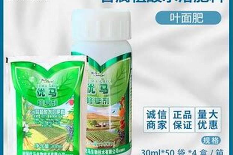 芸苔素对植物生长有什么作用？