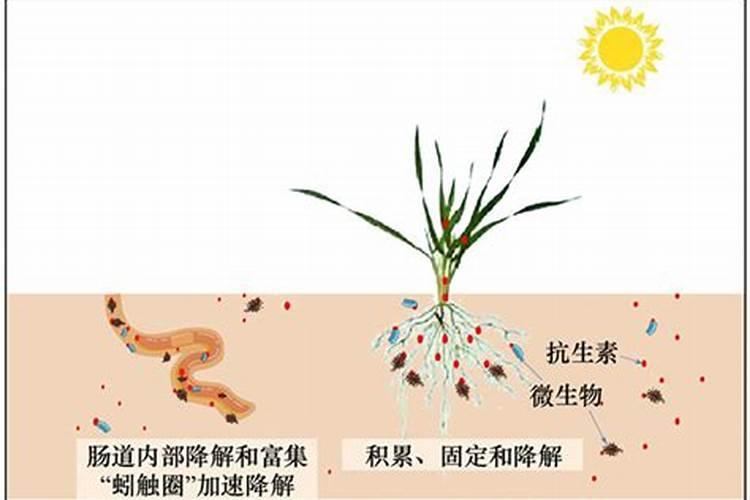 芸苔素拌种用量是多少