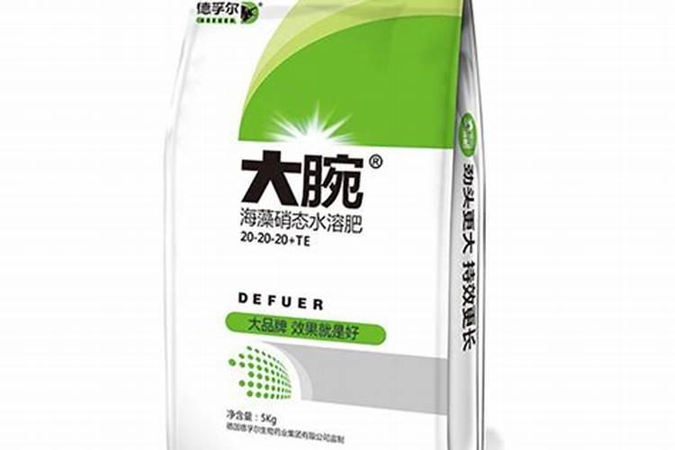 番茄的叶子边缘发白什么原因