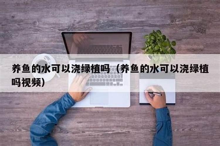 描写童年的回忆作文