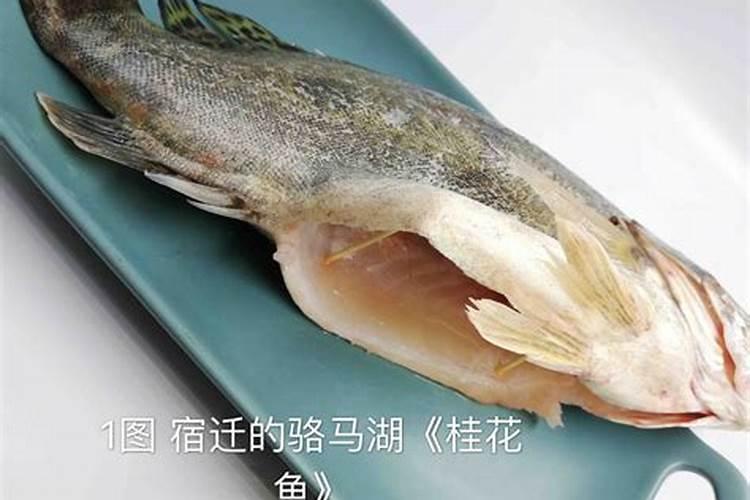 西瓜膨果期连续冲施鱼蛋可以吗？