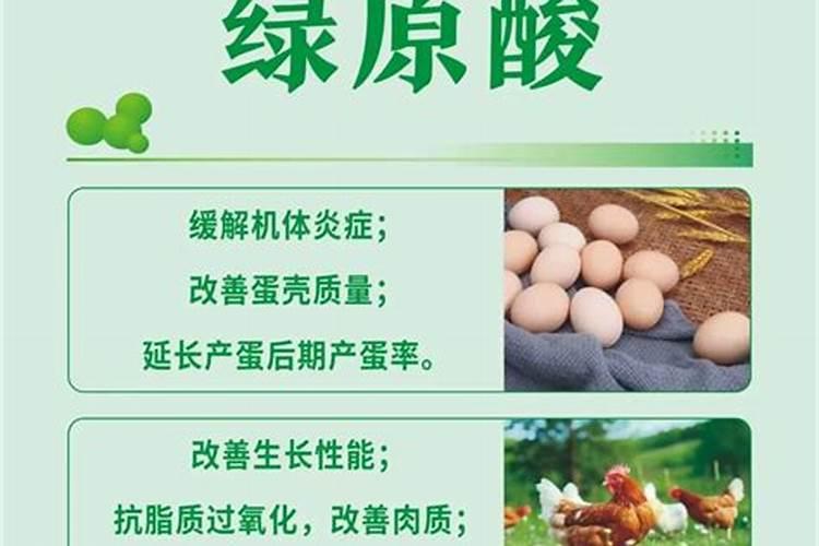 金银花施肥多施磷肥益处多多