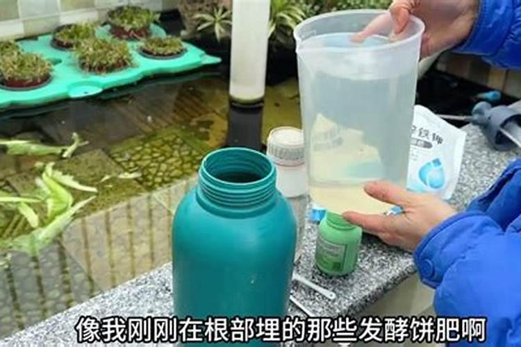 草莓开花了还能施肥吗 施什么肥效果好