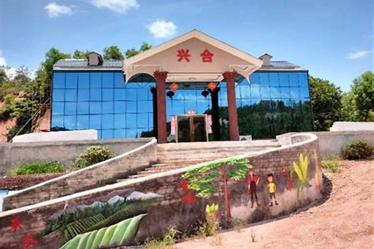 君子兰用什么叶面肥 君子兰的叶面肥介绍